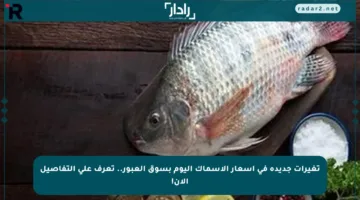 تغيرات جديدة في أسعار الأسماك اليوم بسوق العبور.. تعرف على التفاصيل الآن!